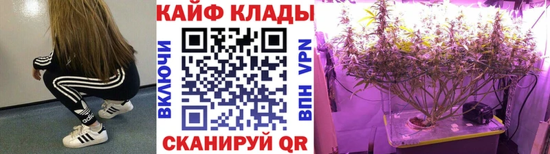 Цена Новая Усмань ГАШИШ  Cocaine  Меф 