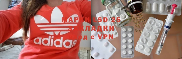 прущие грибы Абдулино