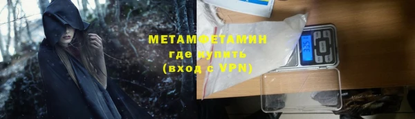 прущие грибы Абдулино