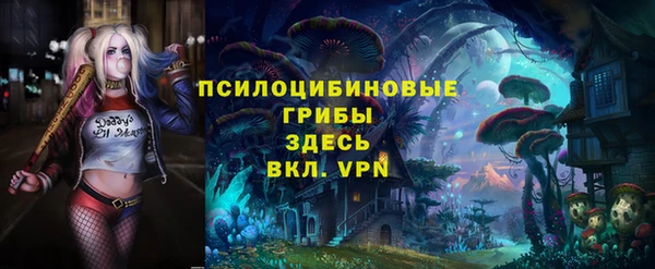 прущие грибы Абдулино