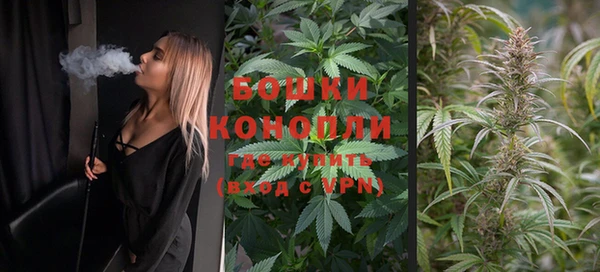гидропоника Абаза