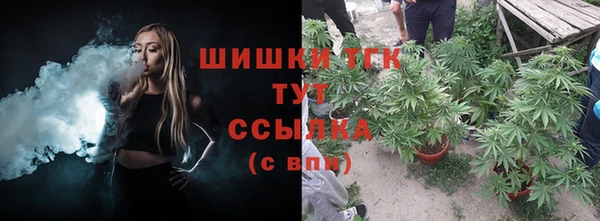 гидропоника Абаза