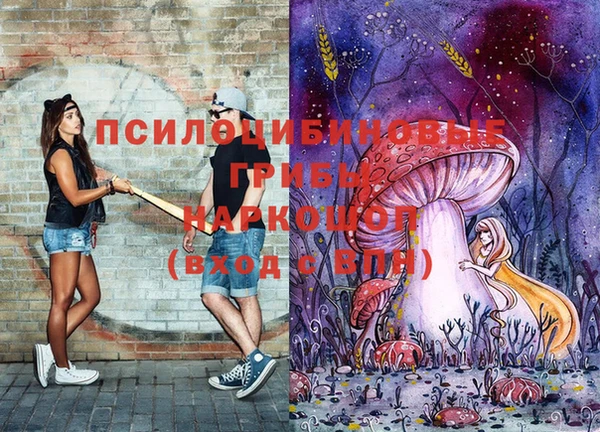 прущие грибы Абдулино